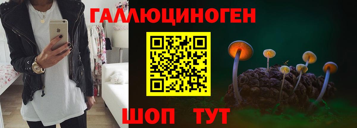 Рыбинск  где купить наркоту  Вход с VPN  Галлюциногенные грибы Psilocybine cubensis 